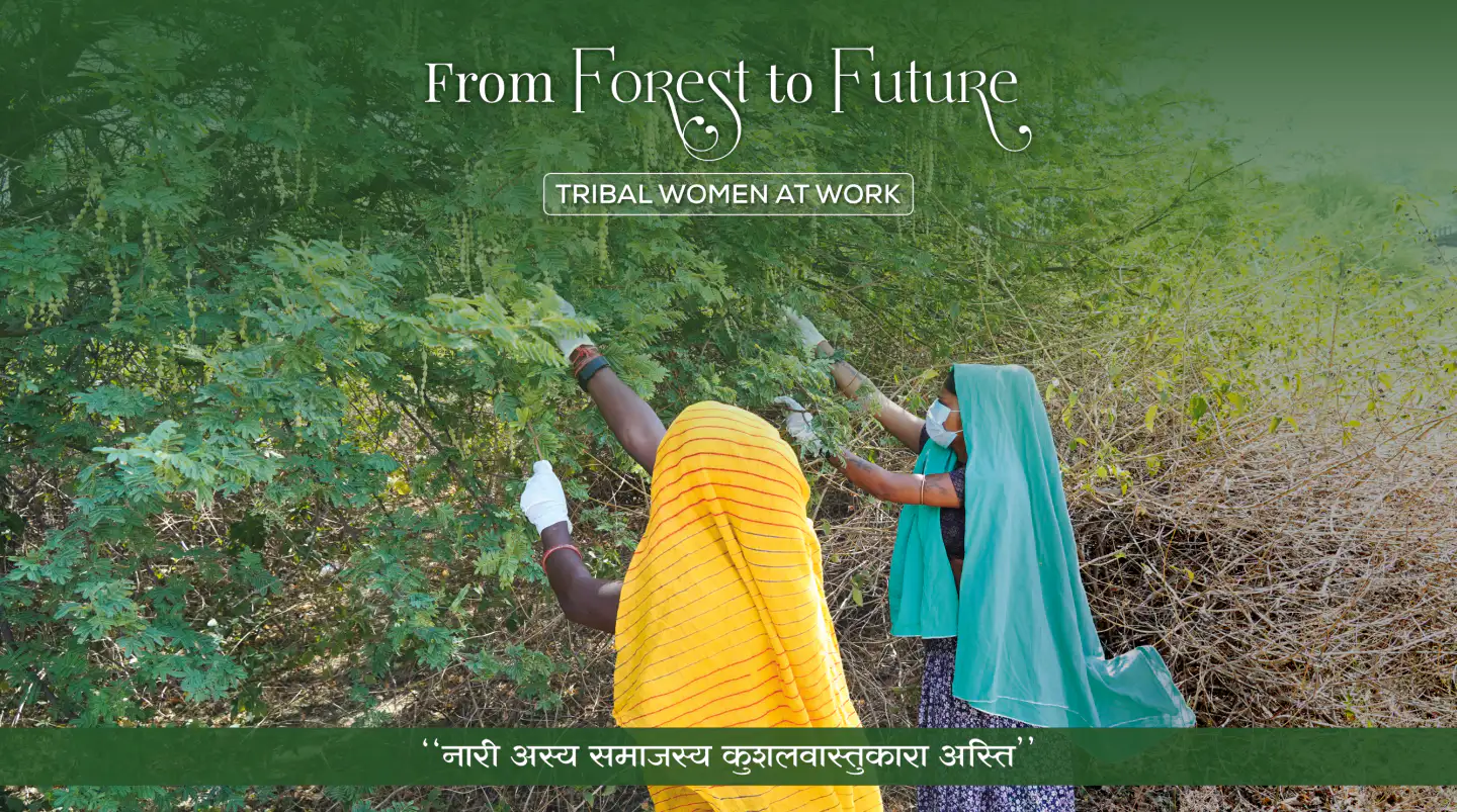 Web Design - 1 C (2)